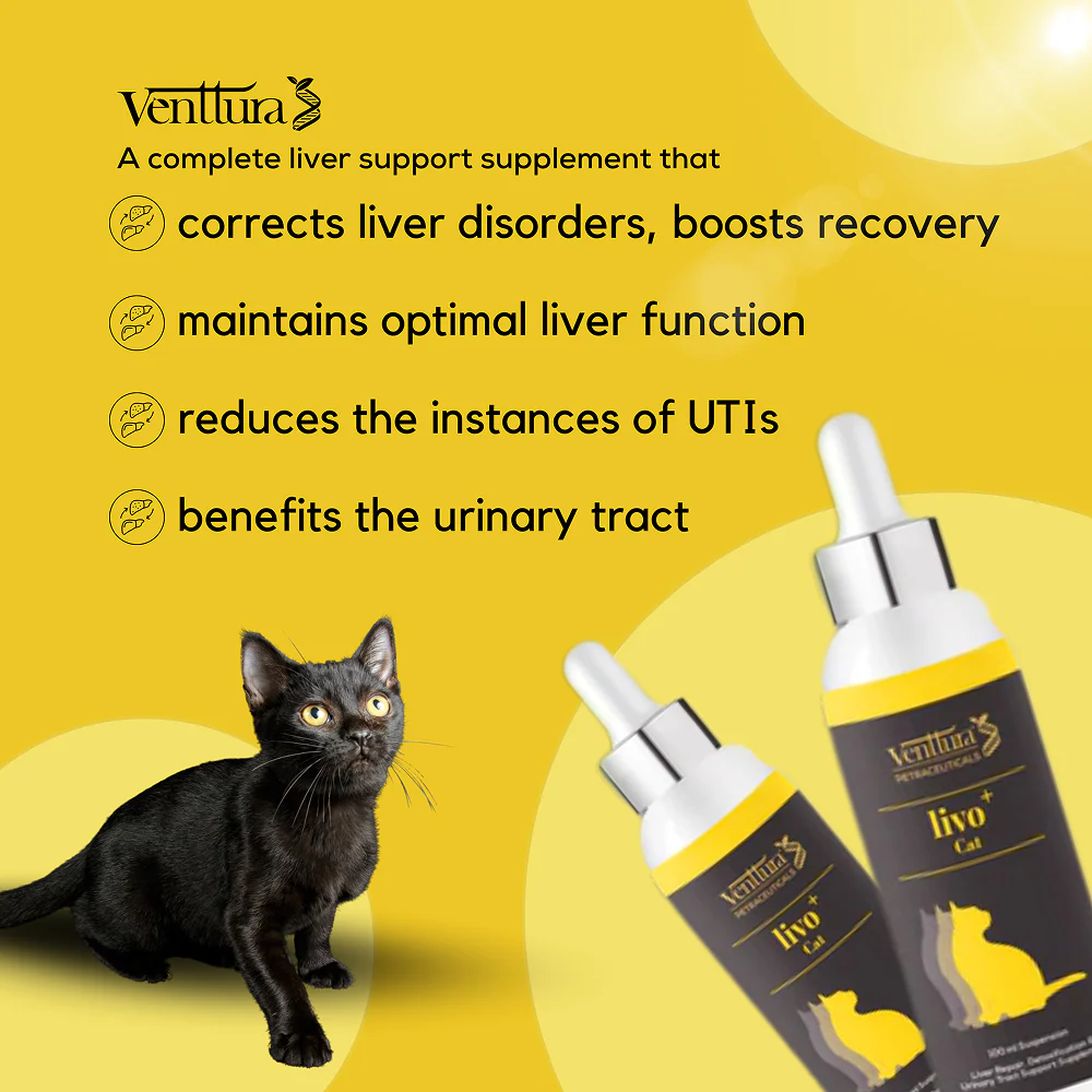 Venttura Liver Repair, Support Recovery & Recuperation Supplement for Cats - Image 3