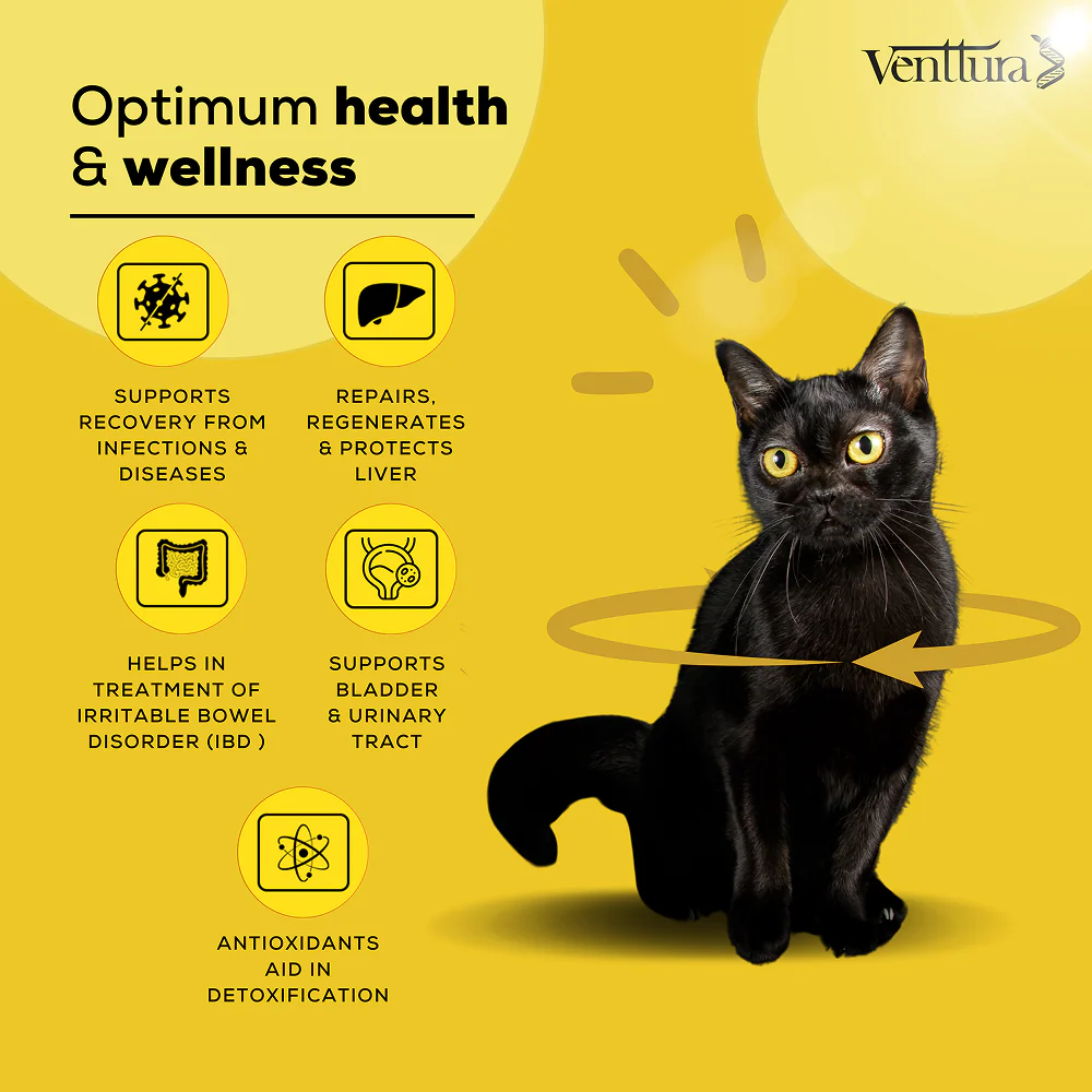Venttura Liver Repair, Support Recovery & Recuperation Supplement for Cats - Image 4