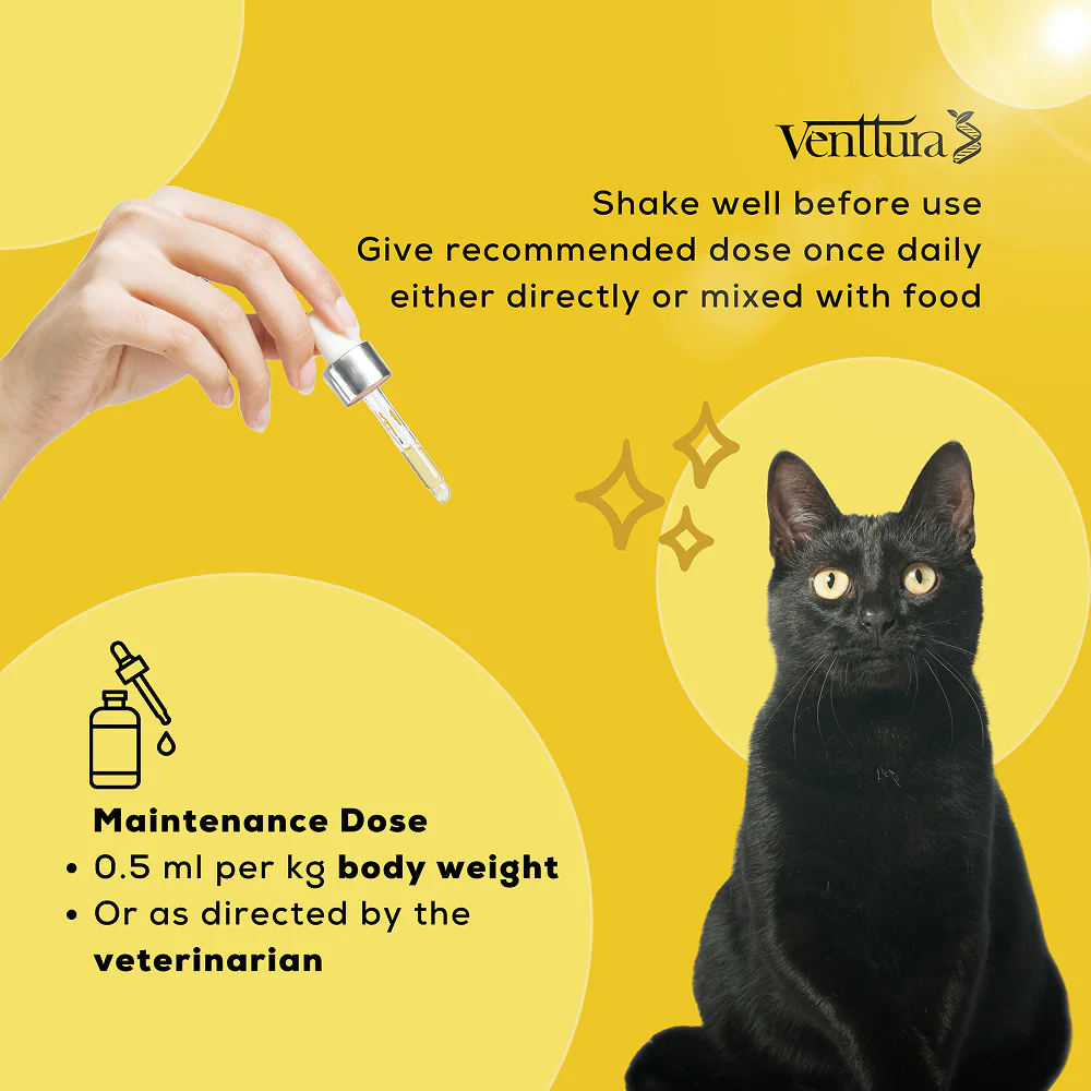Venttura Liver Repair, Support Recovery & Recuperation Supplement for Cats - Image 5