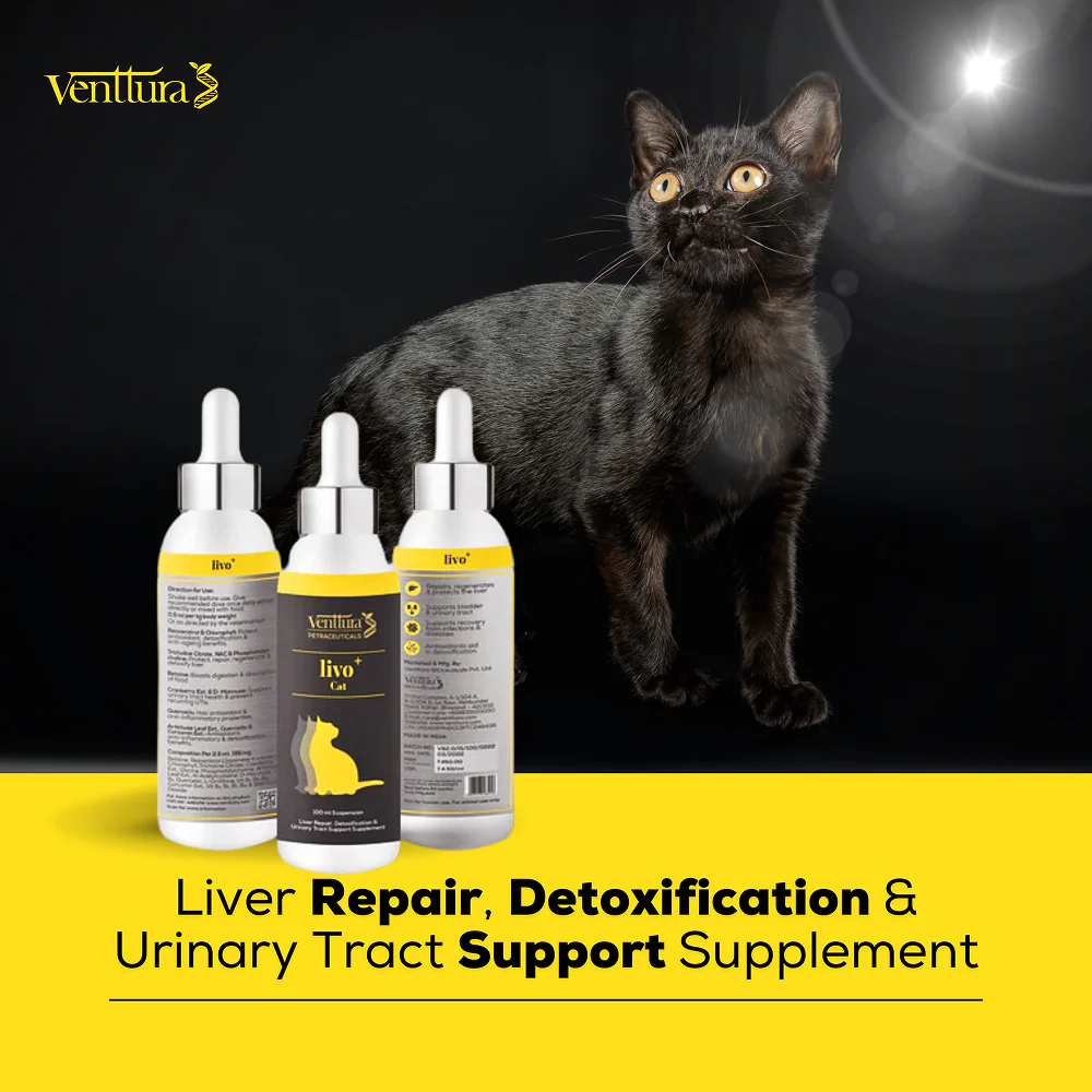 Venttura Liver Repair, Support Recovery & Recuperation Supplement for Cats - Image 6