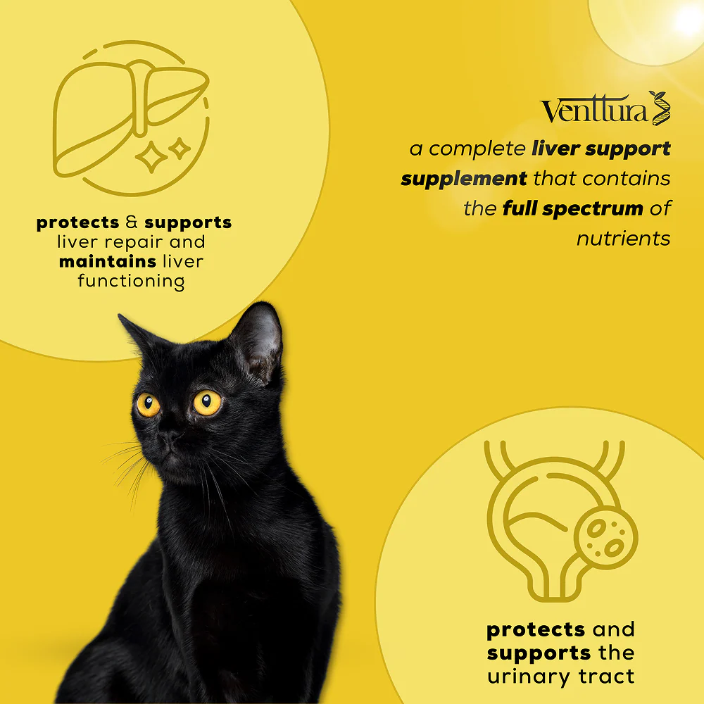 Venttura Liver Repair, Support Recovery & Recuperation Supplement for Cats - Image 7