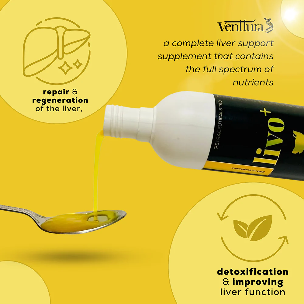 Venttura Livo Plus Liver Supplement Syrup for Dogs - Image 3