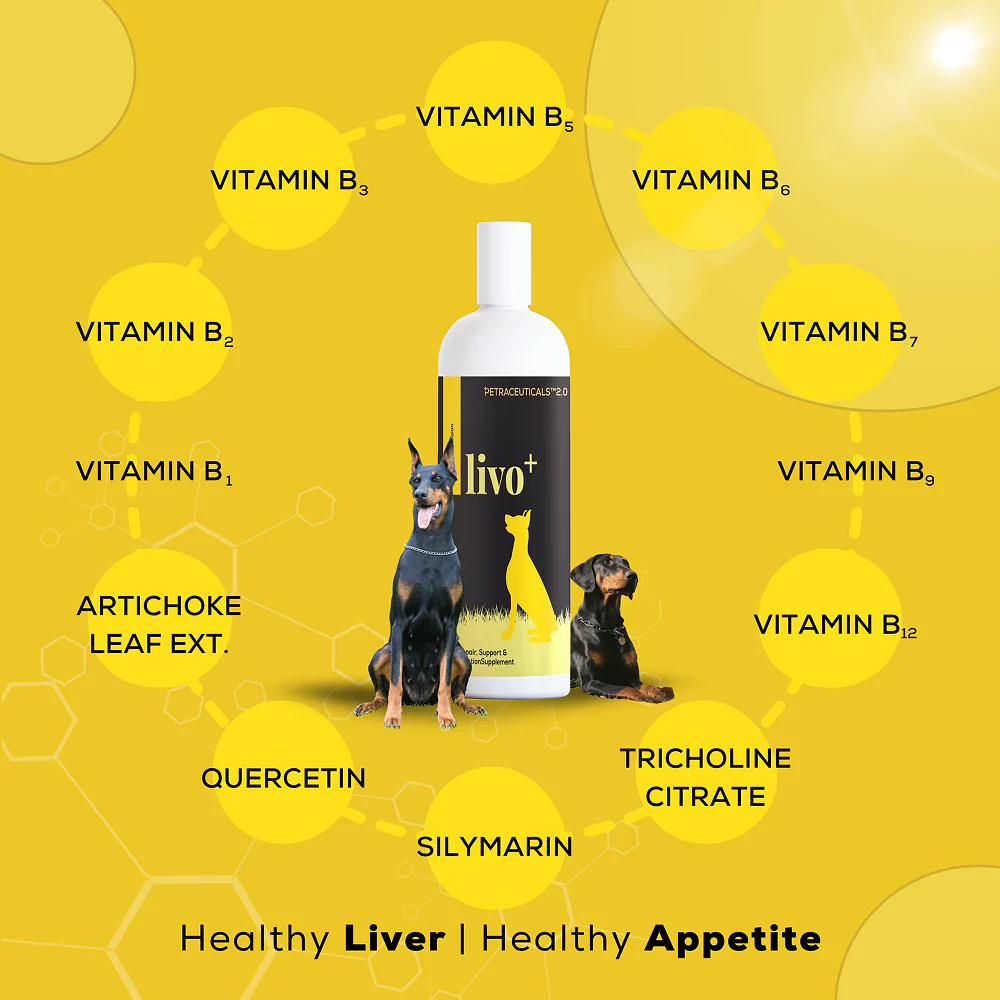 Venttura Livo Plus Liver Supplement Syrup for Dogs - Image 4