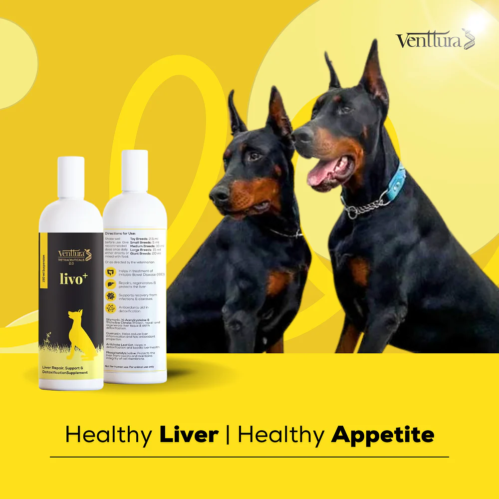 Venttura Livo Plus Liver Supplement Syrup for Dogs - Image 5