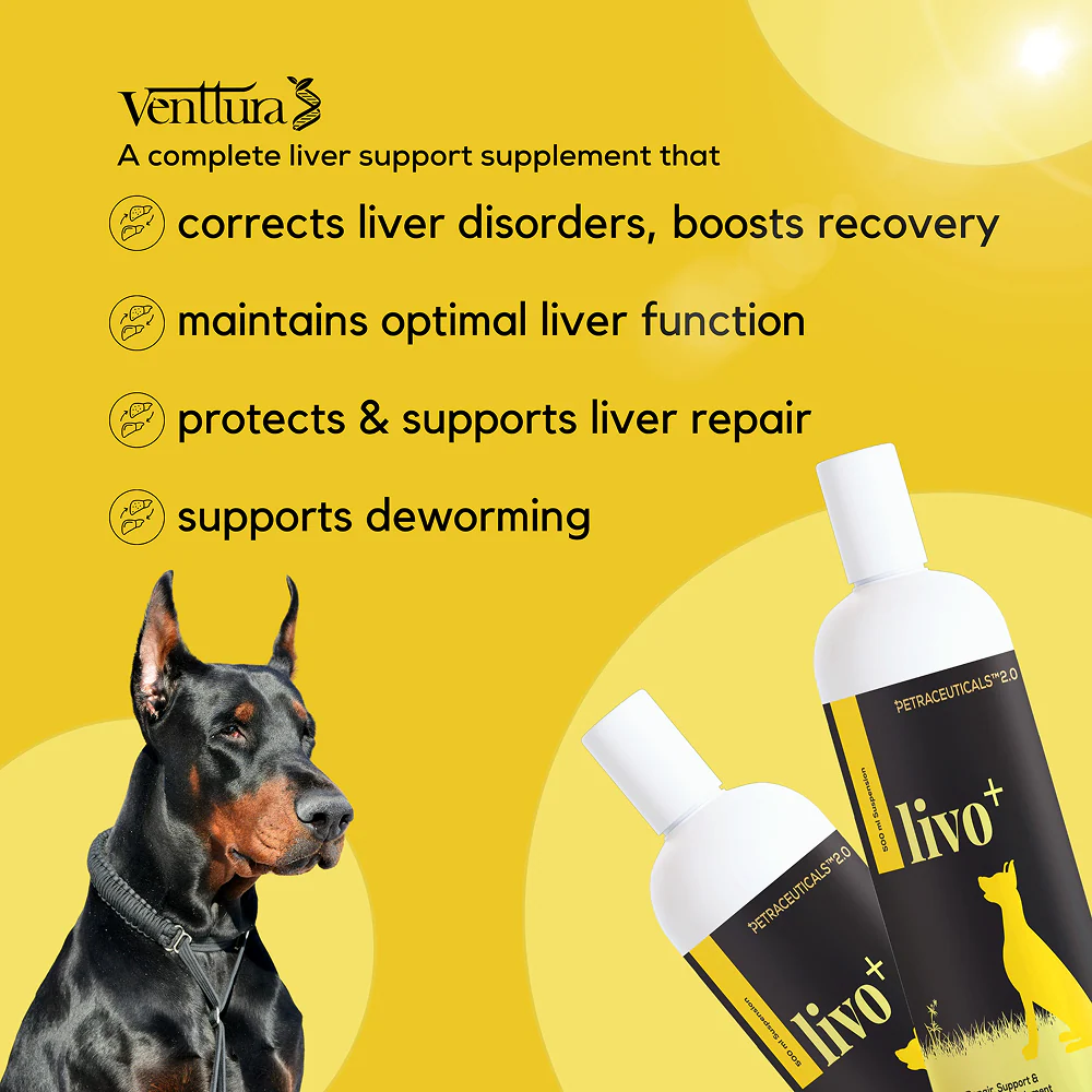 Venttura Livo Plus Liver Supplement Syrup for Dogs - Image 6