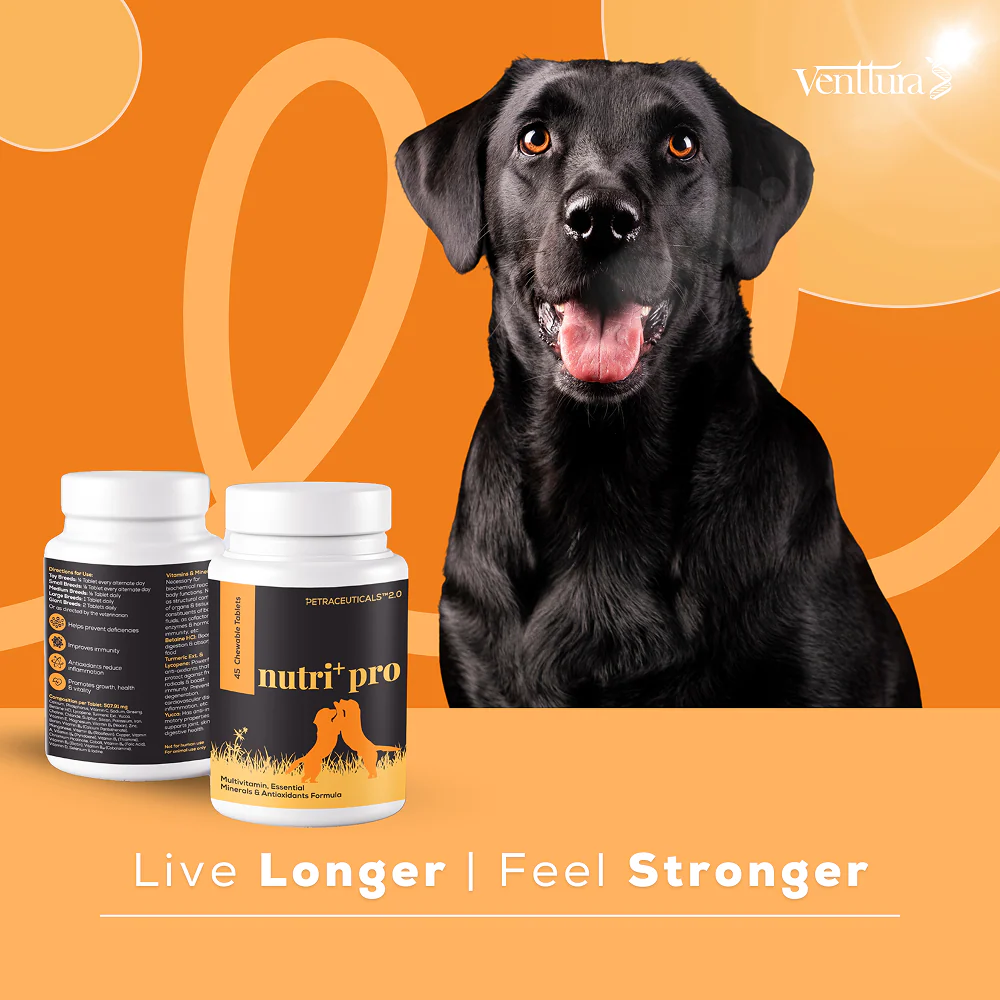 Venttura Nutri Plus Pro Multi Vitamin Chewable Tablets for Dogs - Image 3