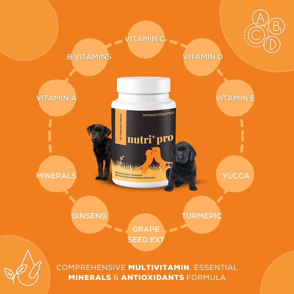 Venttura Nutri Plus Pro Multi Vitamin Chewable Tablets for Dogs - Image 4