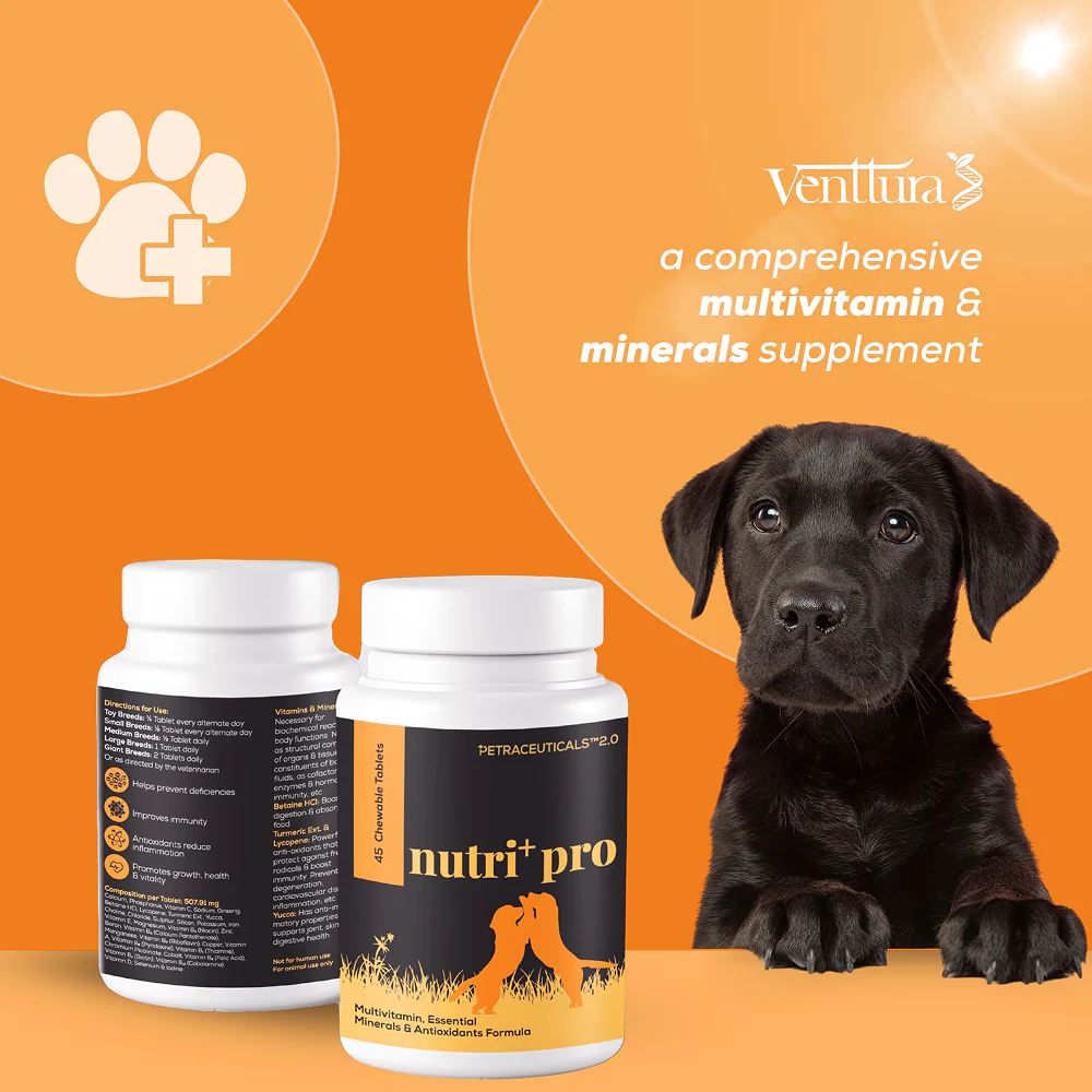 Venttura Nutri Plus Pro Multi Vitamin Chewable Tablets for Dogs - Image 7