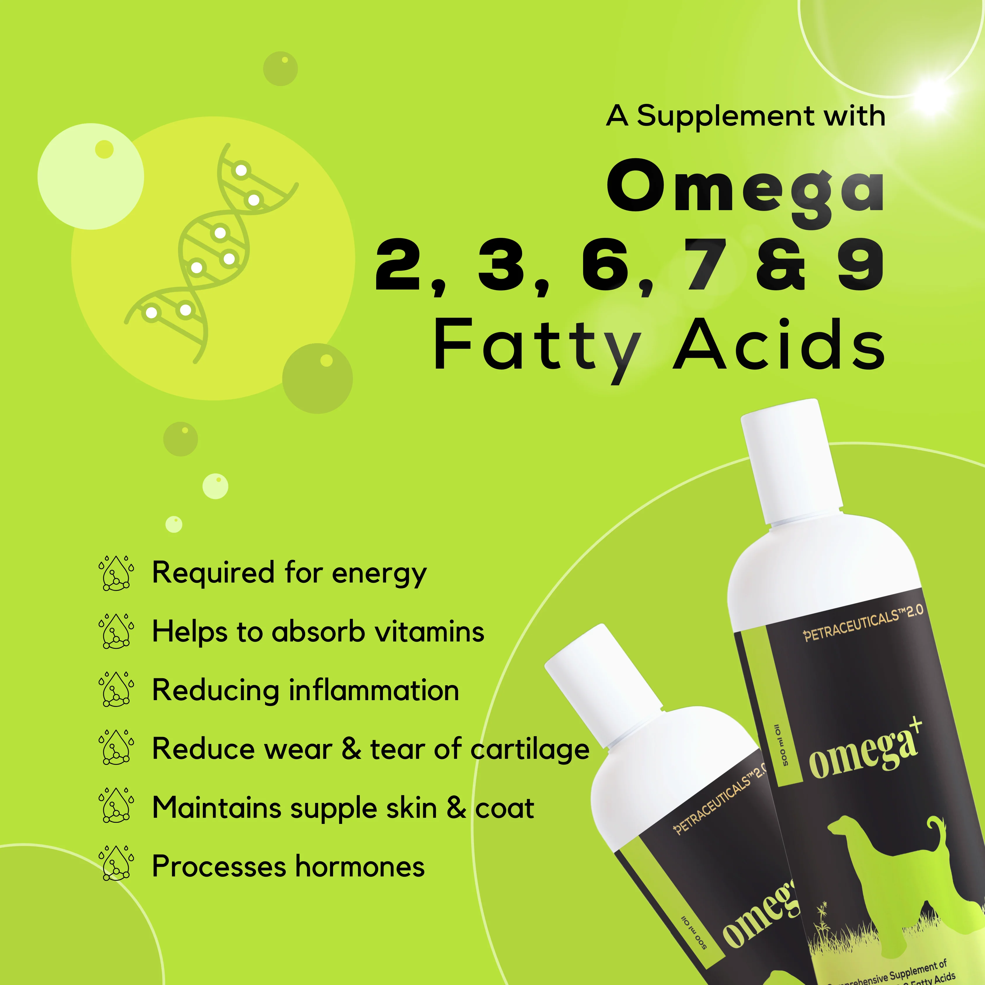 Venttura Omega 3 Plus Skin & Coat Syrup for Dogs - Image 4