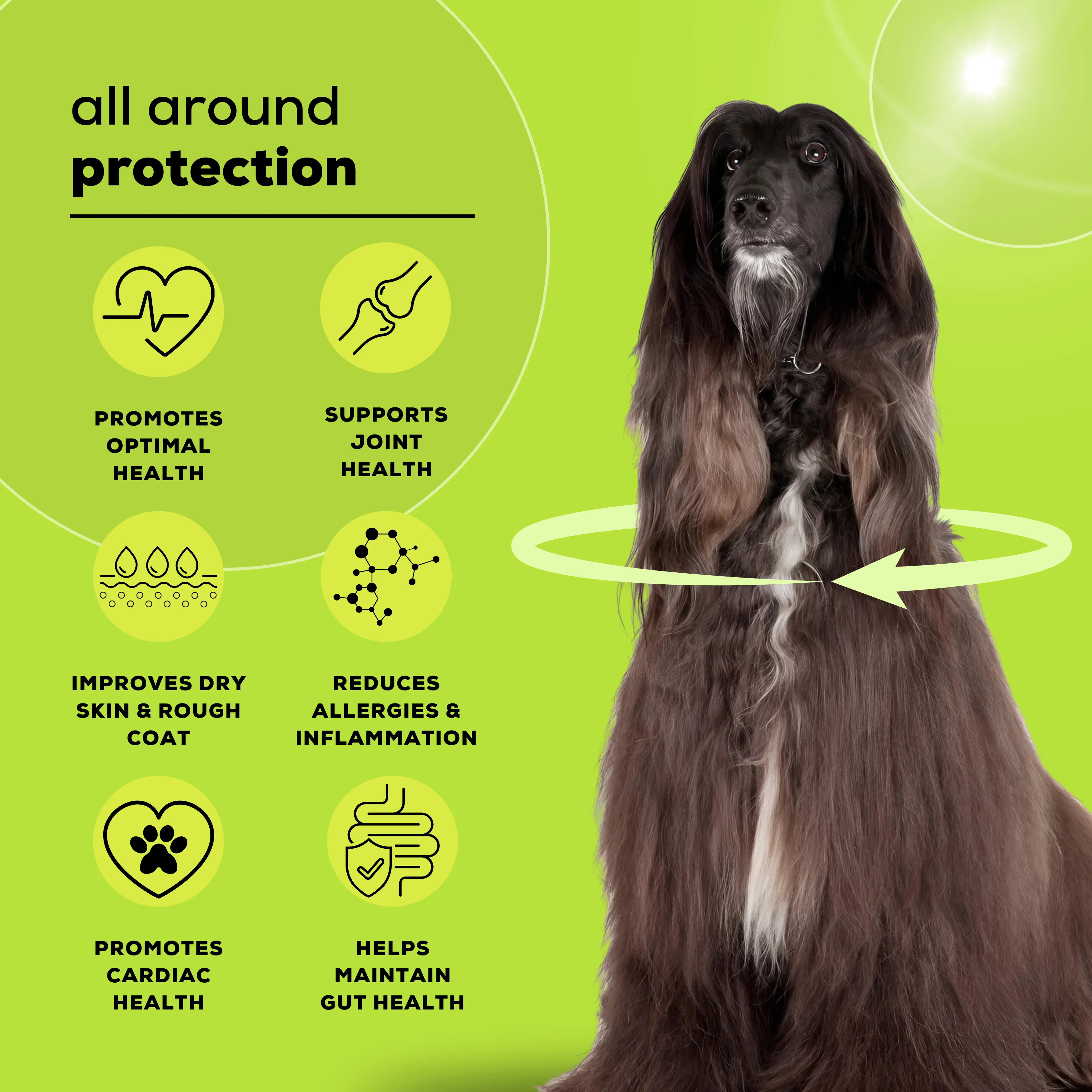 Venttura Omega 3 Plus Skin & Coat Syrup for Dogs - Image 5