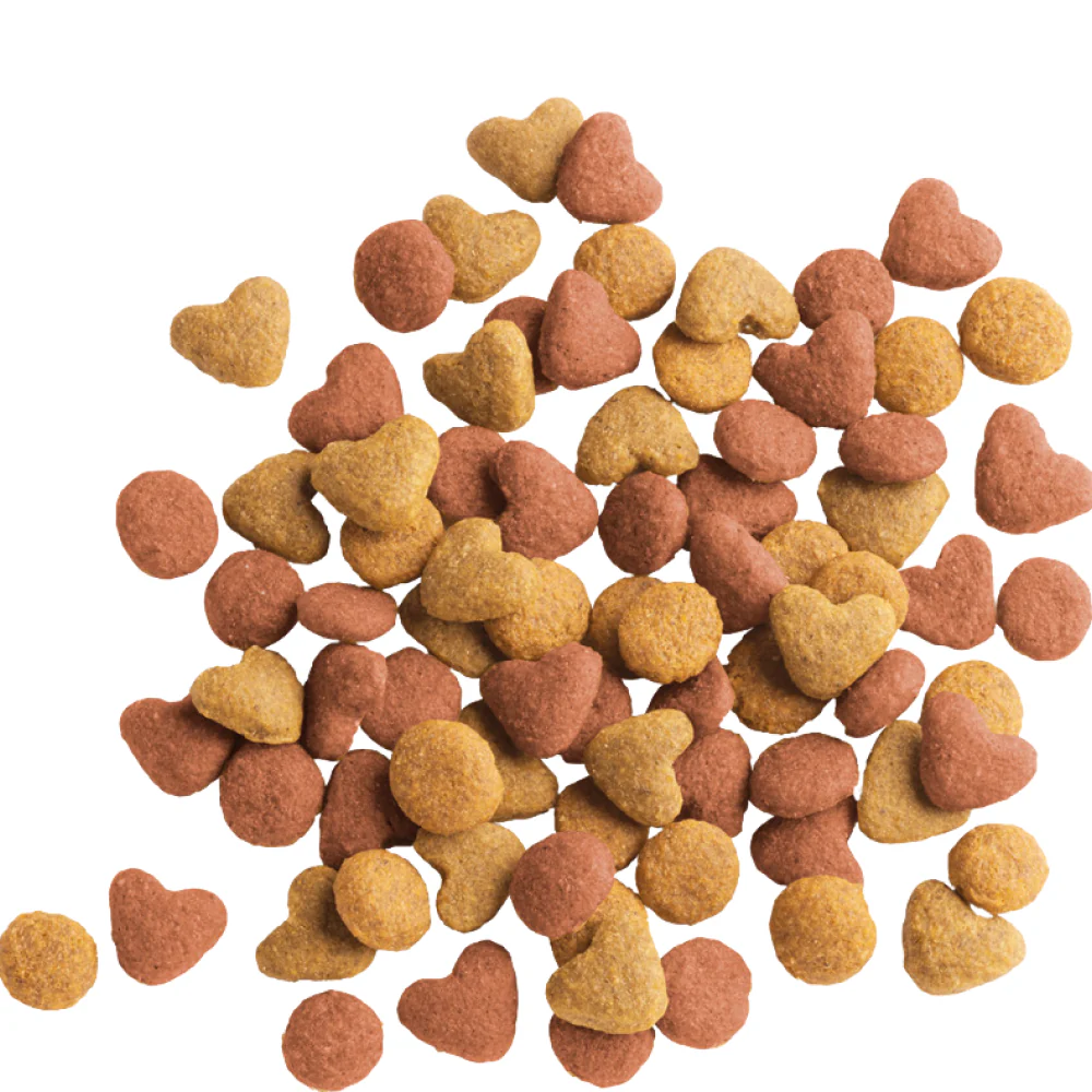 Versele Laga Lara Chicken Kitten Dry Food - Image 3