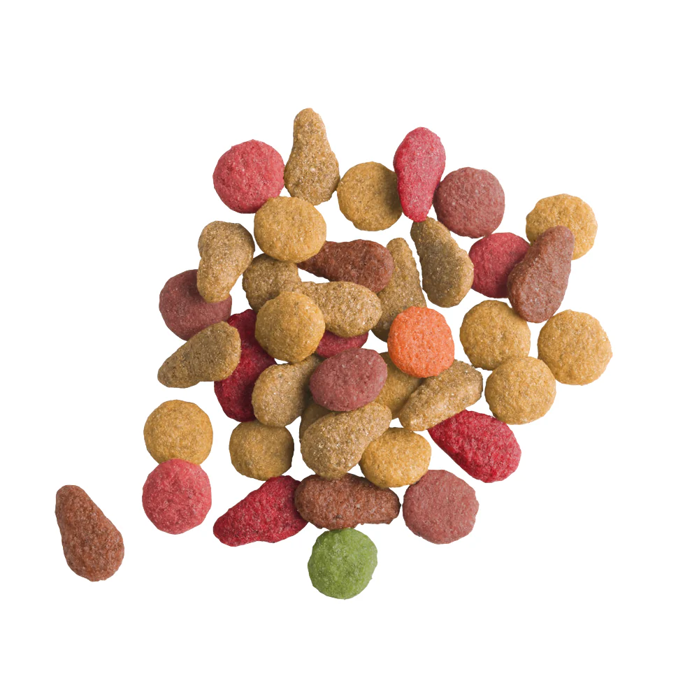 Versele Laga Lara Salmon Adult Cat Dry Food - Image 4