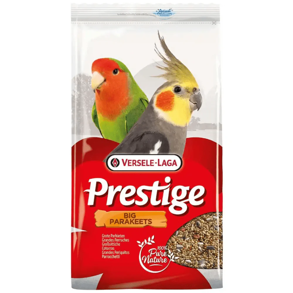 Versele Laga Sunflower Seeds Striped and Prestige Food for Big Parakeets and Birds - Image 4