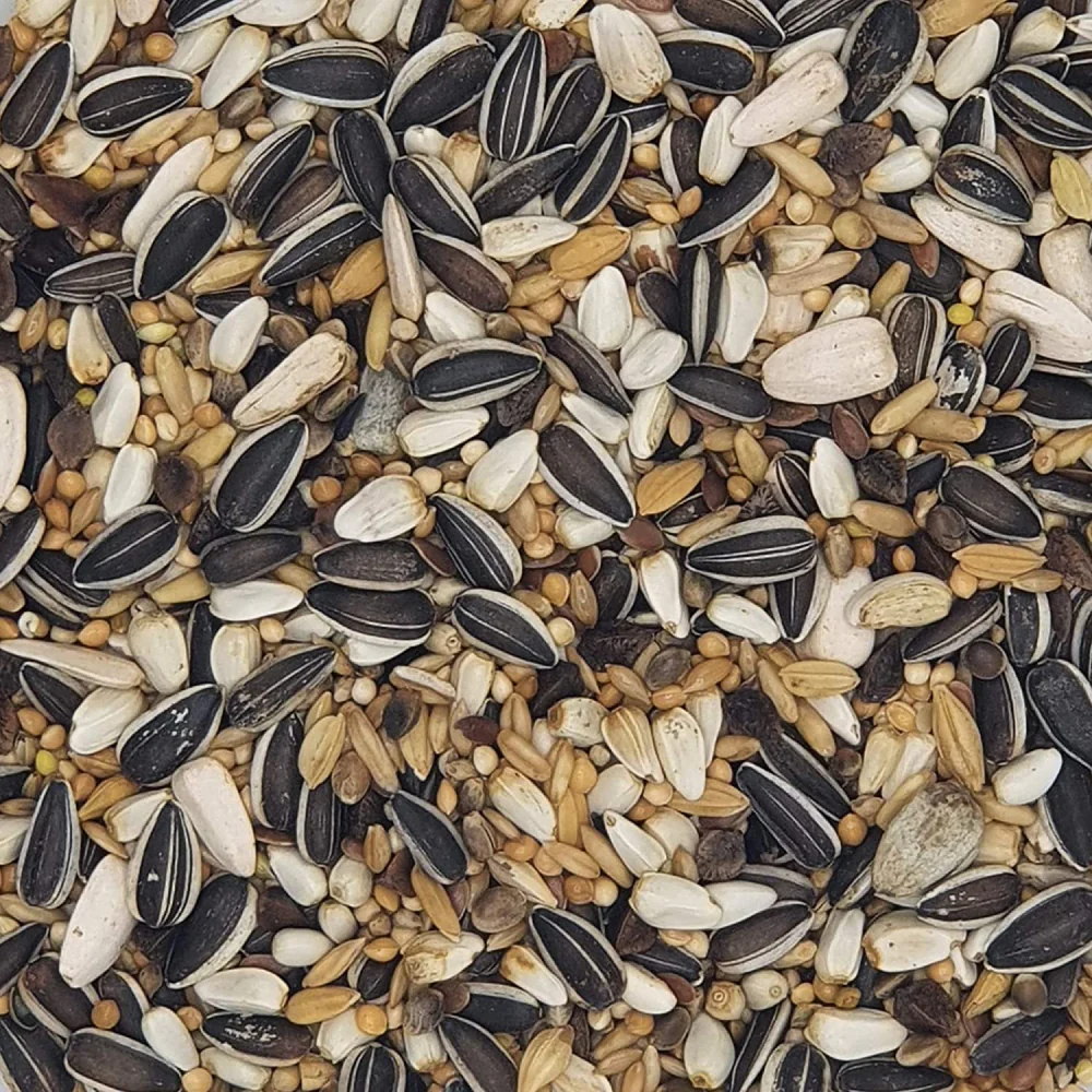 Versele Laga Sunflower Seeds Striped and Prestige Food for Big Parakeets and Birds - Image 5