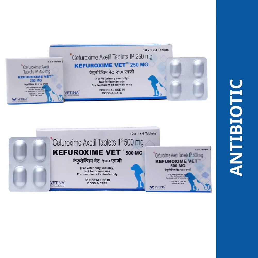 Vetina Kefuroxime Vet 250mg Tablets (Cefuroxime Axetil) for Dogs and Cats - Image 2