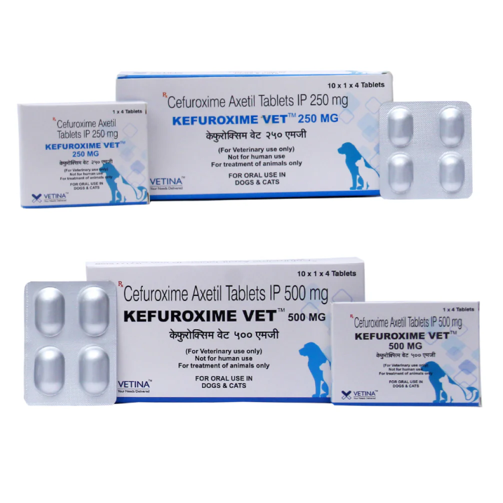 Vetina Kefuroxime Vet 250mg Tablets (Cefuroxime Axetil) for Dogs and Cats - Image 3