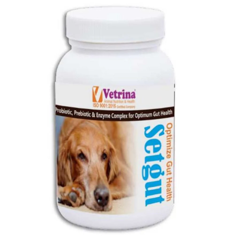 Vetrina Setgut Powder for Dogs and Cats (50g) - Image 2