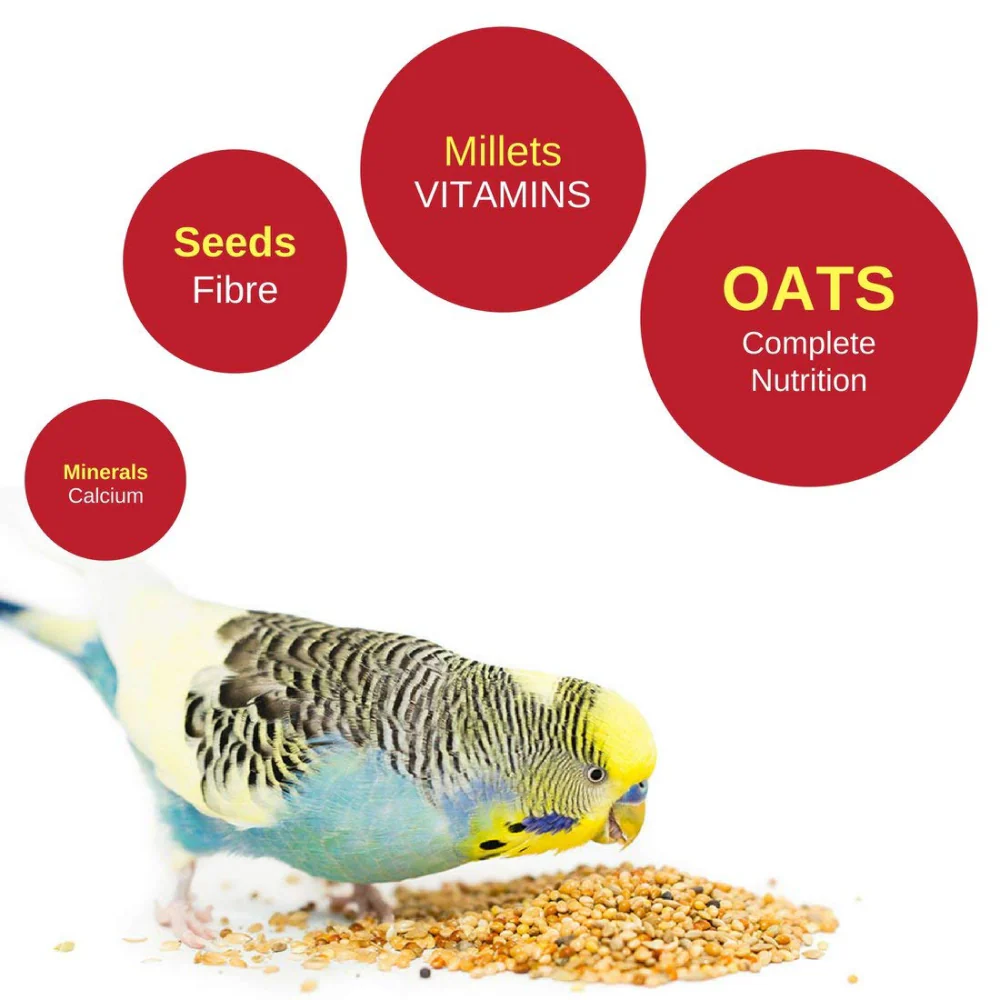 Vitapol Economic Food for Budgies - Image 2
