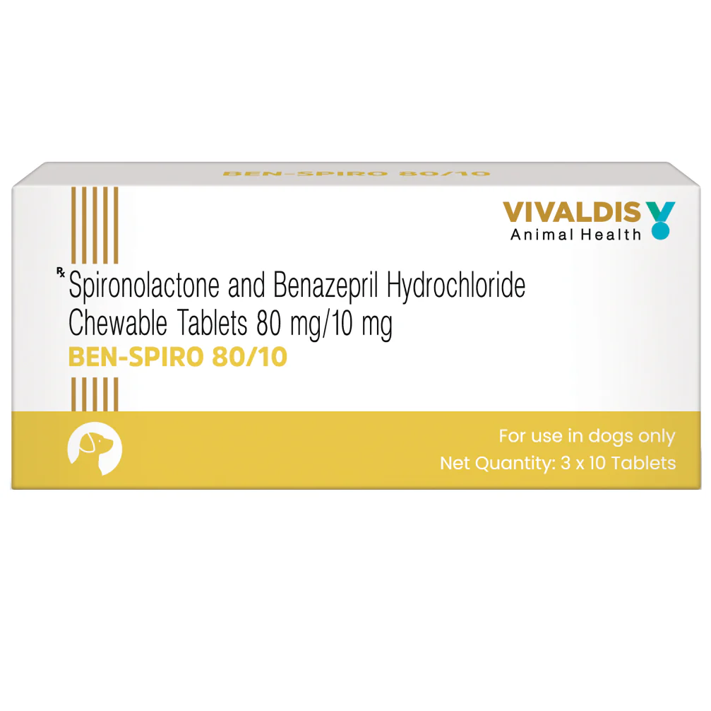 Vivaldis Ben Spiro (Spironolactone & Benzepril) Tablets for Dogs - Image 4