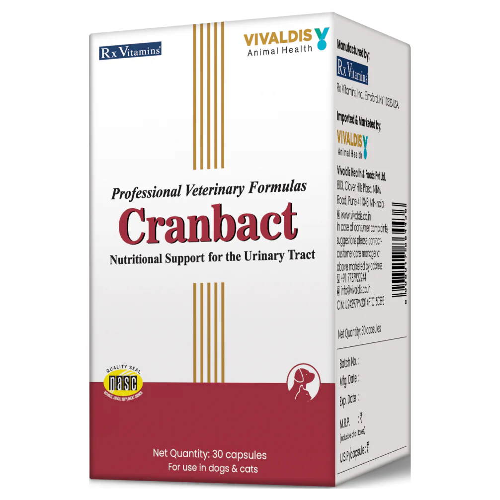 Vivaldis Cranbact Capsules for Dogs and Cats (pack of 30 capsules) - Image 2
