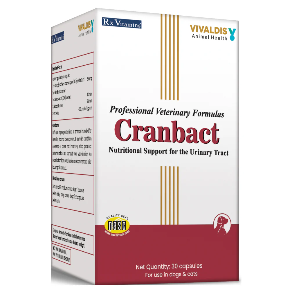 Vivaldis Cranbact Capsules for Dogs and Cats (pack of 30 capsules) - Image 3