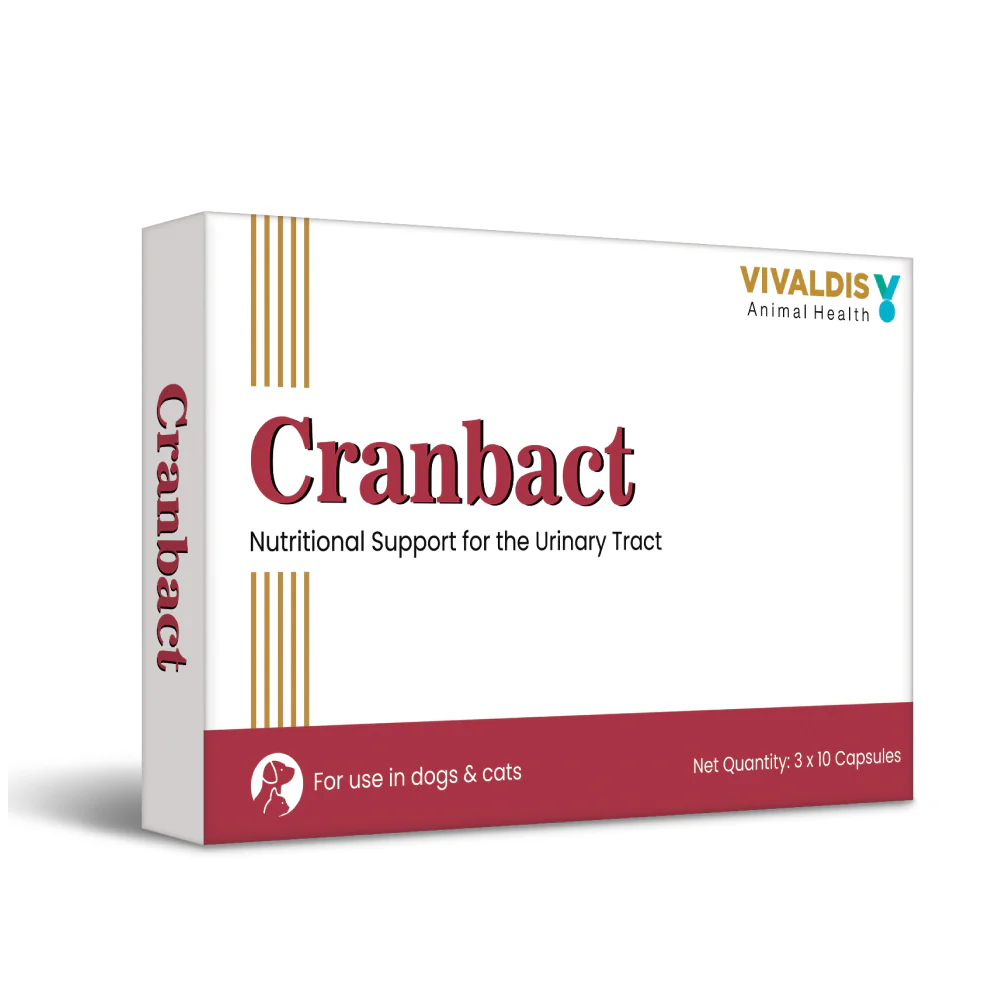 Vivaldis Cranbact Capsules for Dogs and Cats (pack of 30 capsules) - Image 4