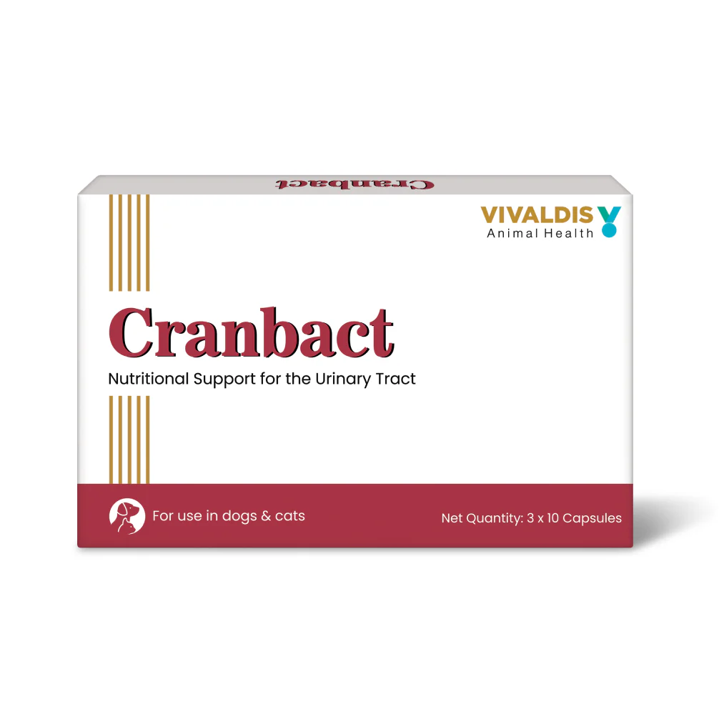 Vivaldis Cranbact Capsules for Dogs and Cats (pack of 30 capsules) - Image 5
