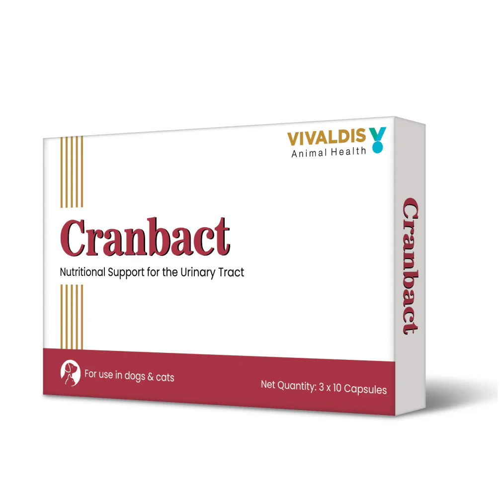 Vivaldis Cranbact Capsules for Dogs and Cats (pack of 30 capsules) - Image 6