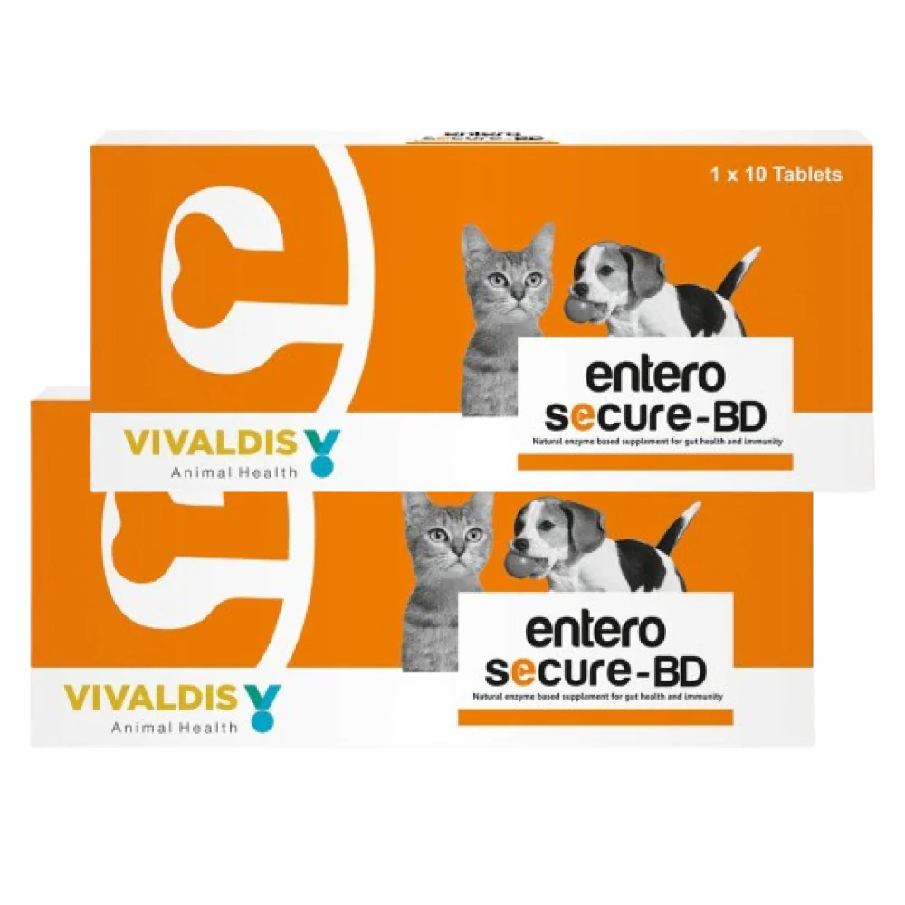 Vivaldis Entero Secure  BD Tablet for Dogs and Cats - Image 7