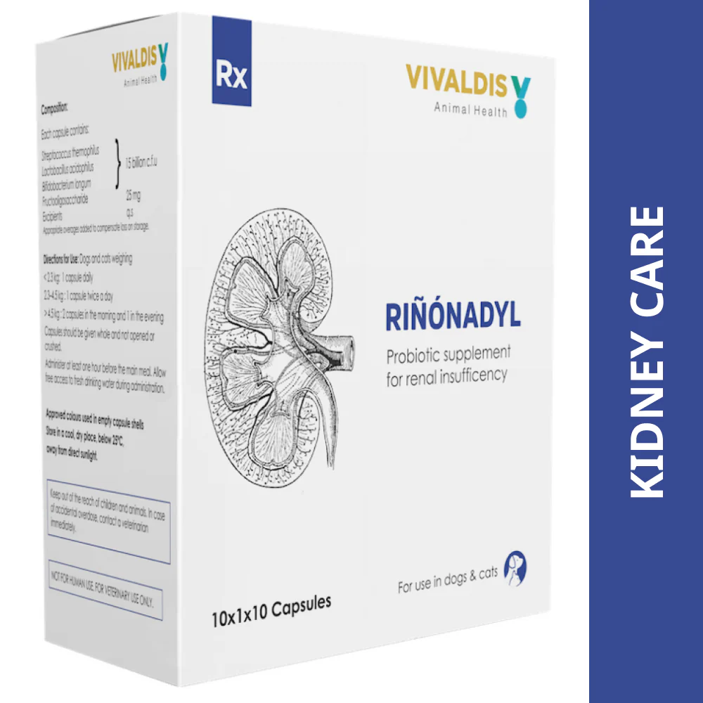 Vivaldis Rinonadyl Tablet for Dogs & Cats - Image 4