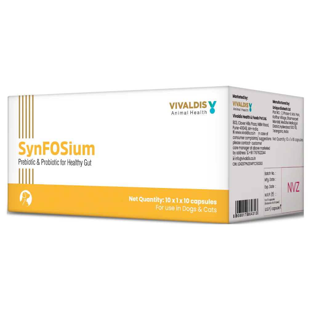 Vivaldis Synfosium Pre Probiotic Capsule for Dogs & Cats - Image 3