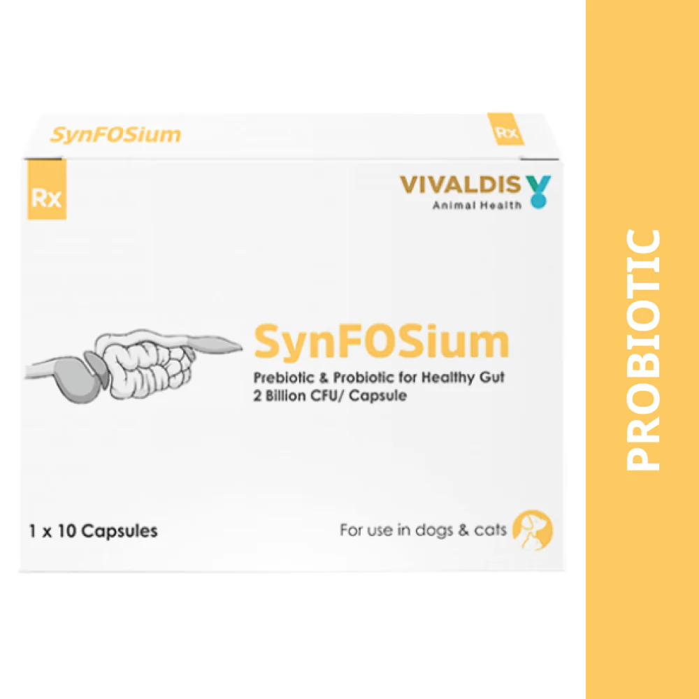 Vivaldis Synfosium Pre Probiotic Capsule for Dogs & Cats - Image 4