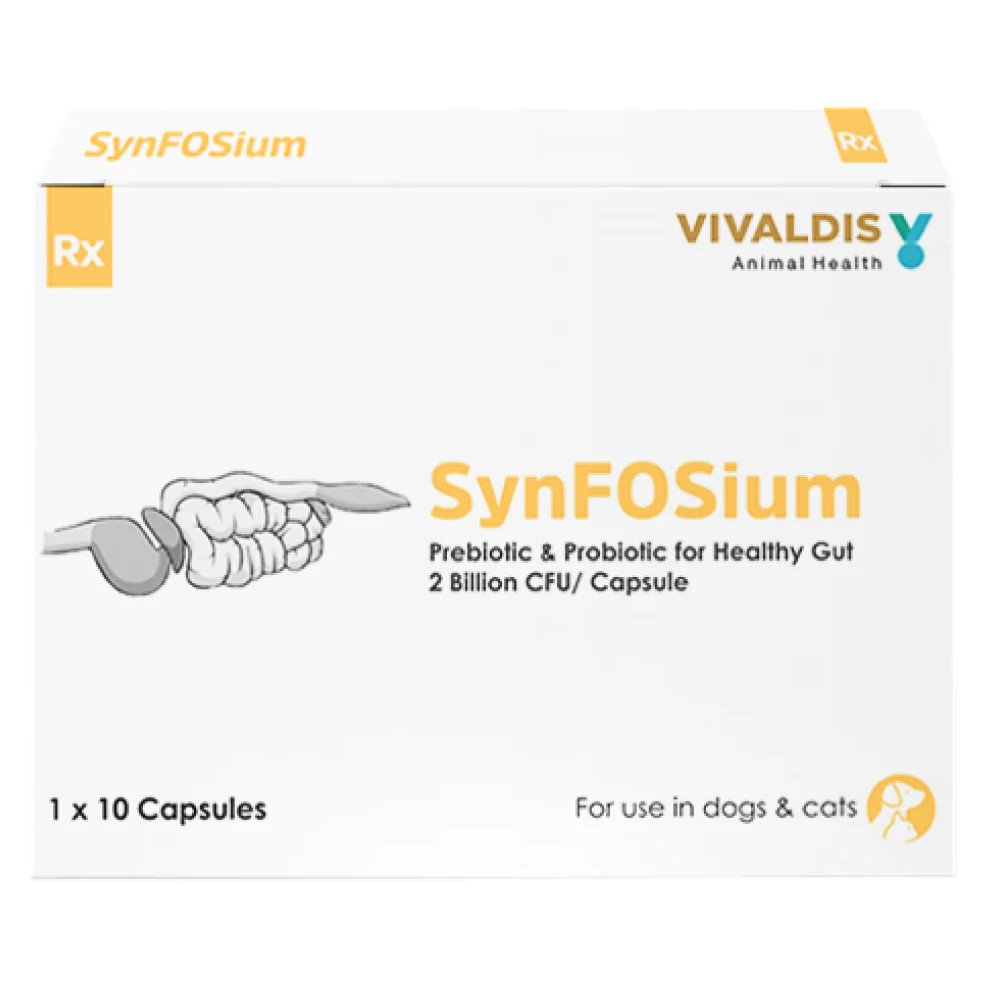Vivaldis Synfosium Pre Probiotic Capsule for Dogs & Cats - Image 5