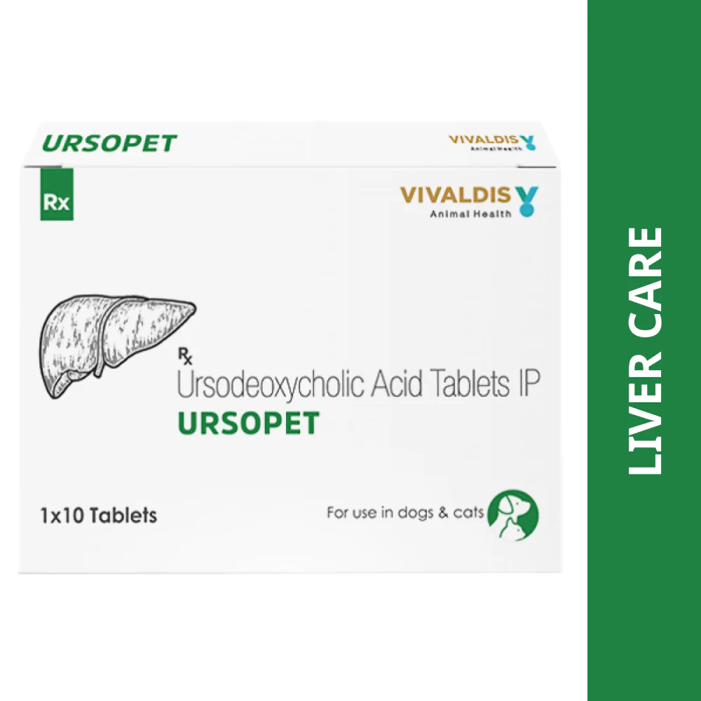 Vivaldis Ursopet Tablet 300mg (Ursodeoxycholic Acid) for Dogs & Cats - Image 4
