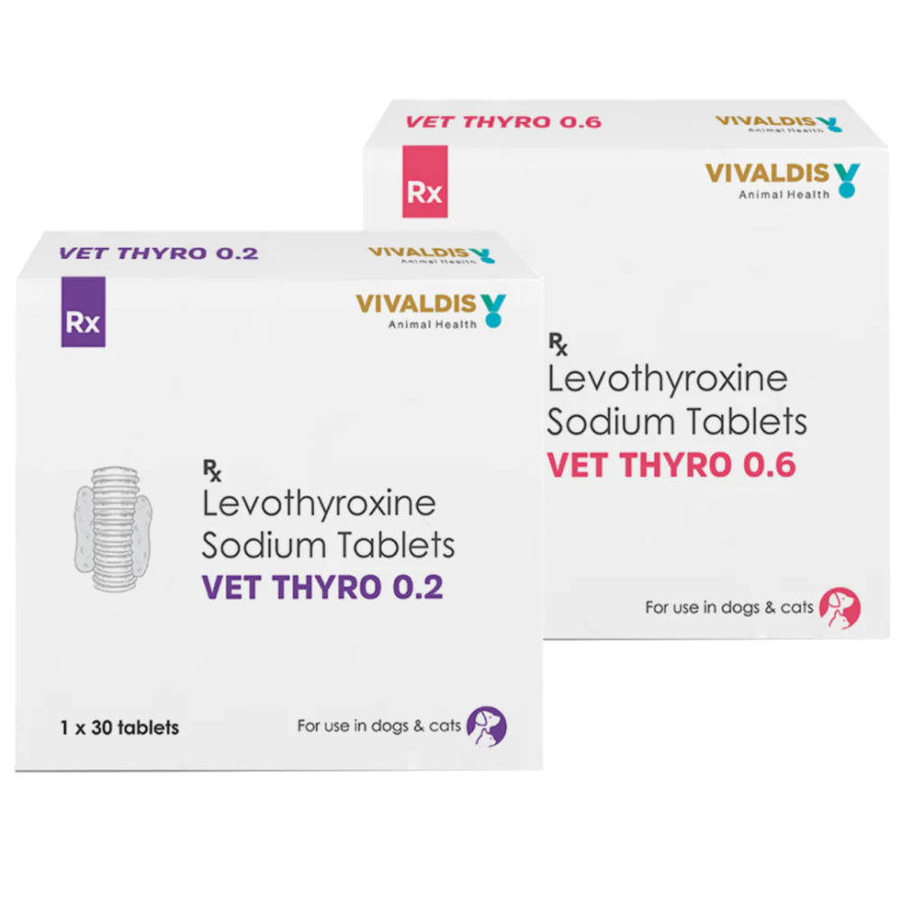Vivaldis Vet Thyro 0.2 (Levothyroxine sodium) Tablets for Dogs and Cats - Image 5