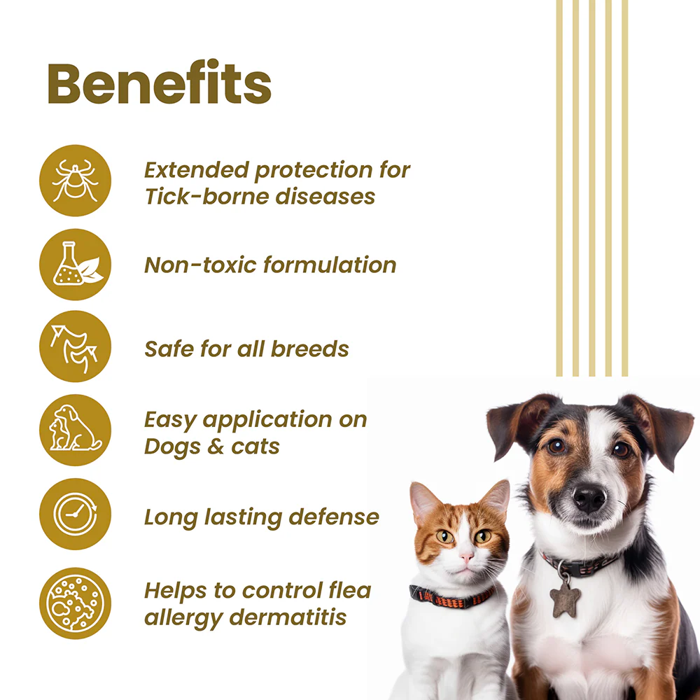 Vivaldis Vi-Fi Forte Spray (Fipronil) Tick & Flea Control for Dogs & Cats (100ml) - Image 3
