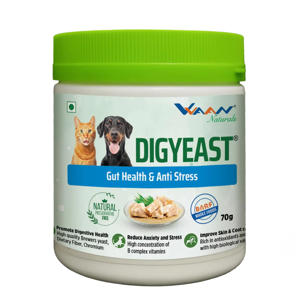 Vvaan Digyeast Gut Powder Health & Anti Stress for Dogs and Cats 70g