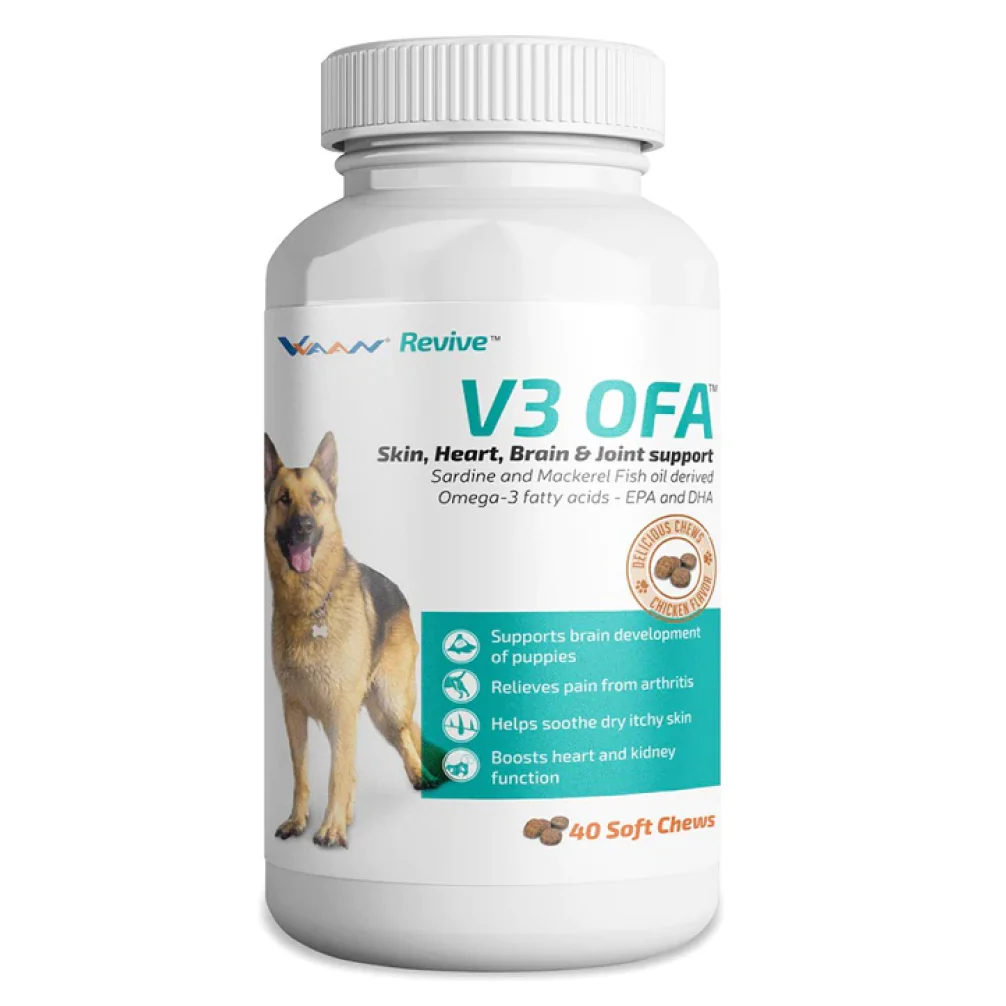 Vvaan V3 OFA Tablet Omega 3 & 6 Supplements for Dogs (pack of 40 tablets) - Image 2