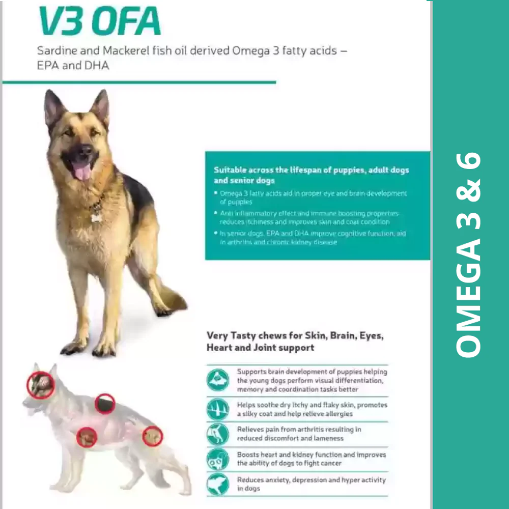 Vvaan V3 OFA Tablet Omega 3 & 6 Supplements for Dogs (pack of 40 tablets) - Image 3