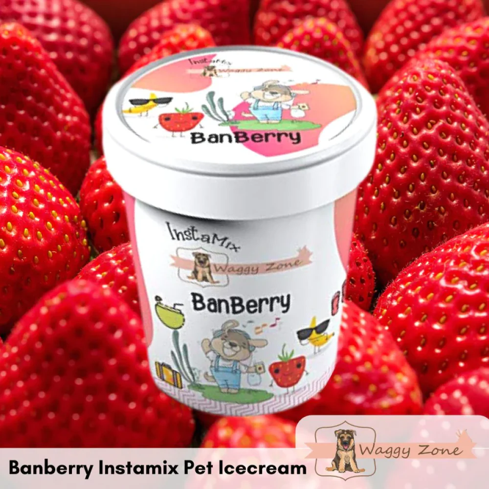 Waggy Zone Banberry Ice Cream for Pets - Image 2