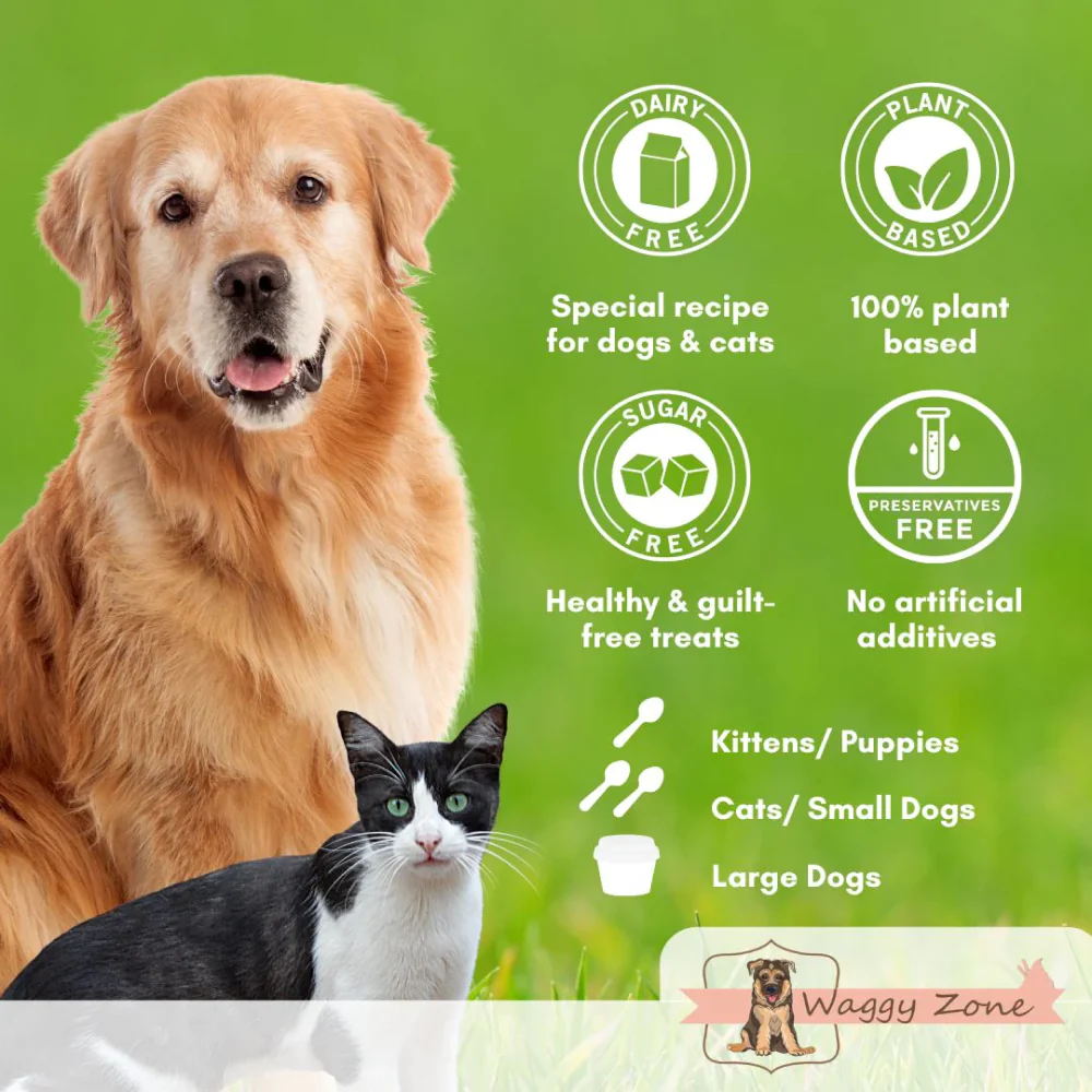 Waggy Zone Mango Ice Cream for Pets - Image 5