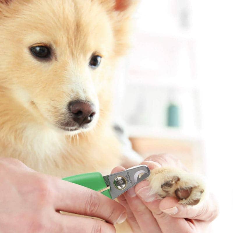 Wahl Curved Nail Clipper for Dogs (Small,14cm) - Image 11