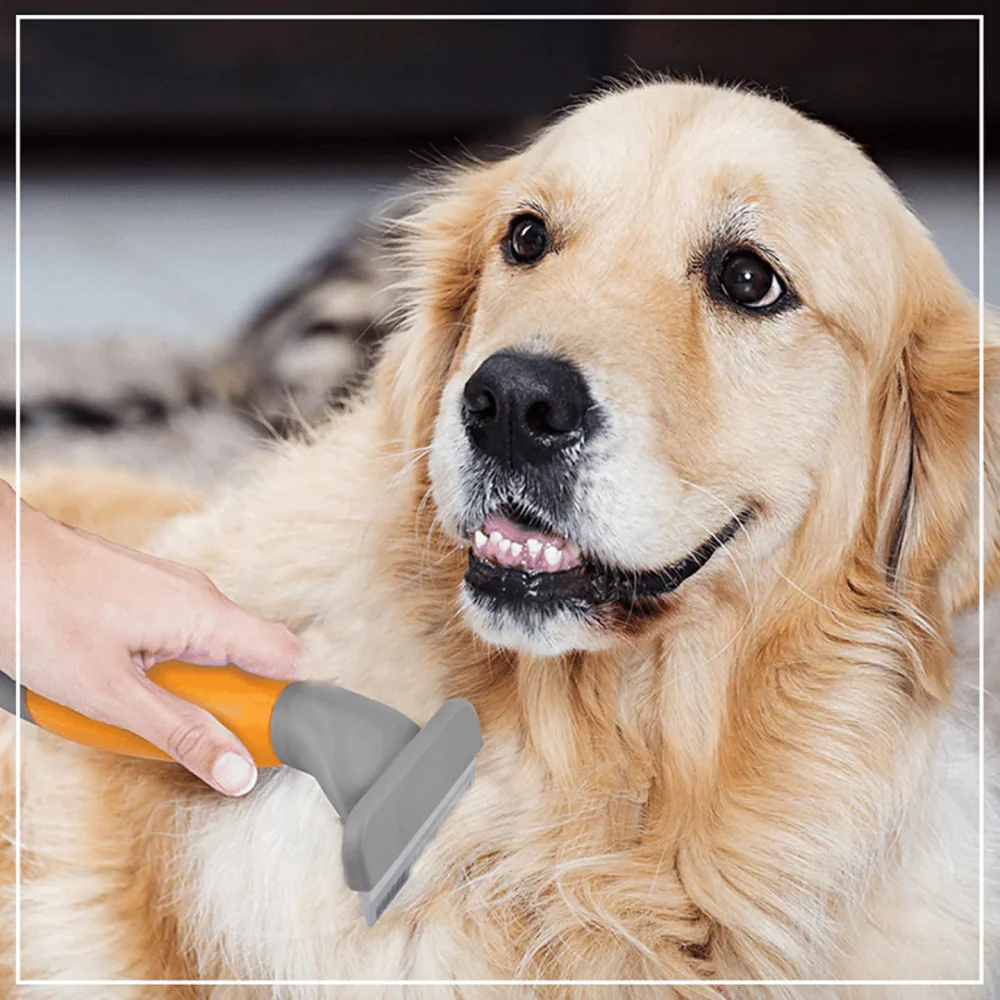 Wahl Deshedder for Cats and Dogs (16cm) - Image 7