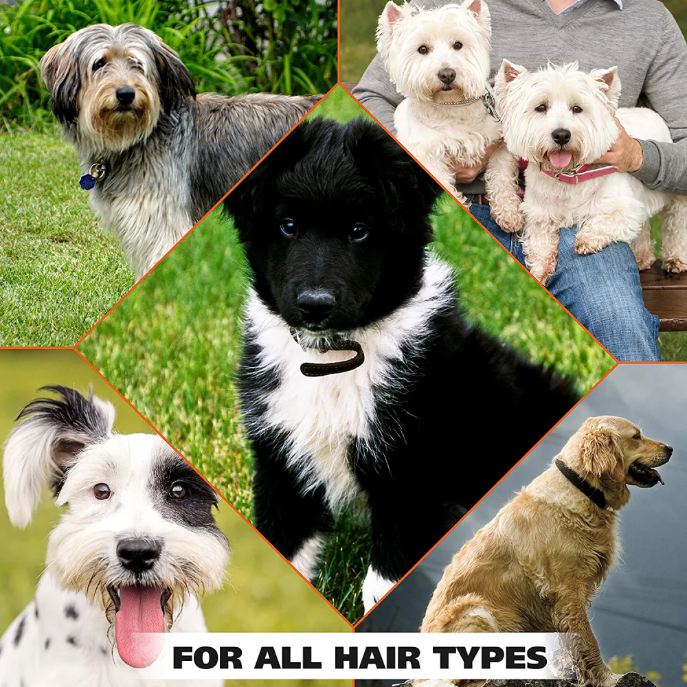 Wahl Deodorant for Dogs (Doggie Eucalyptus and Spearmint) - Image 6