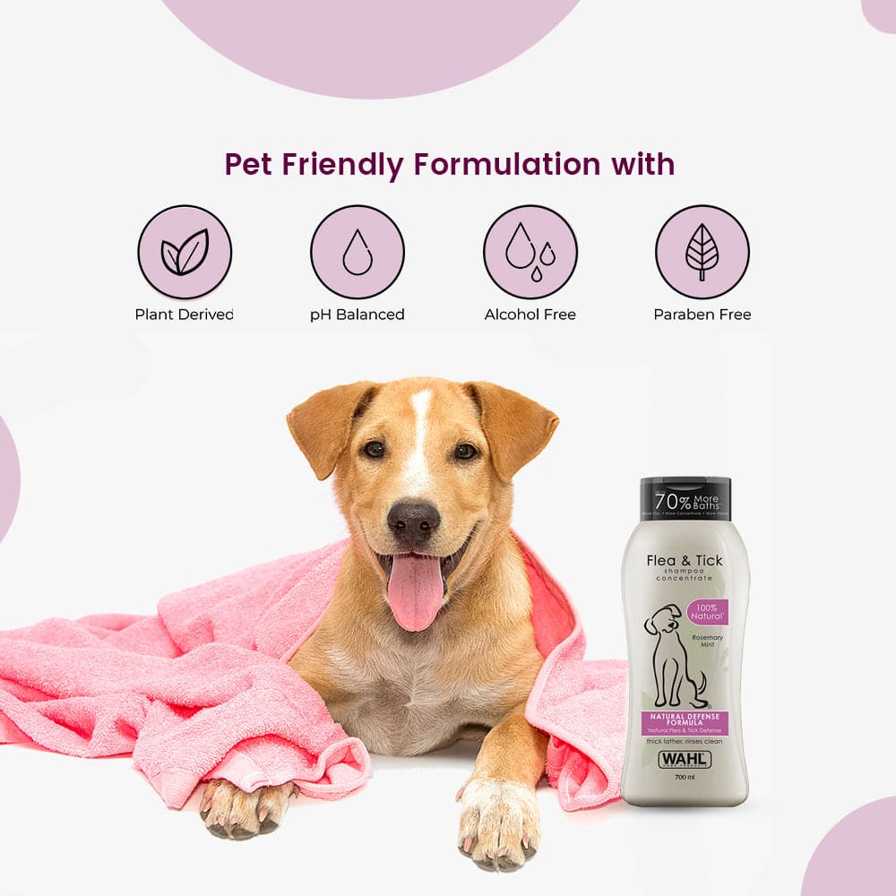 Wahl Flea Comb and Flea & Tick Eucalyptus Cedar Shampoo for Dogs Combo - Image 11