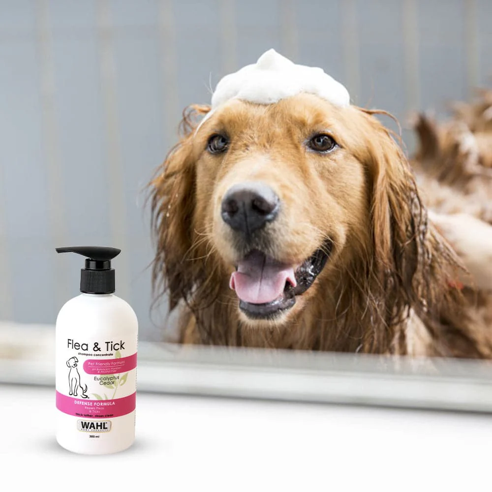 Wahl Flea Comb and Flea & Tick Eucalyptus Cedar Shampoo for Dogs Combo - Image 13