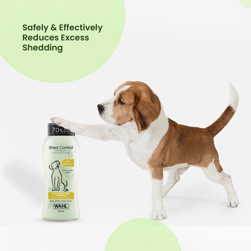 Wahl Shed Control Shampoo for Dogs (Lemongrass & Sage) - Image 5
