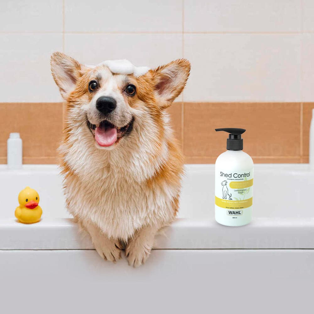 Wahl Shed Control Shampoo for Dogs (Lemongrass & Sage) - Image 6