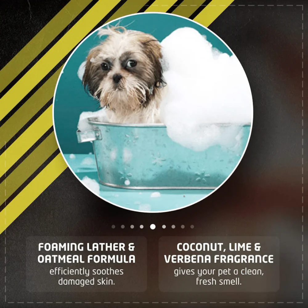 Wahl No Rinse Oatmeal Shampoo for Dogs - Image 3