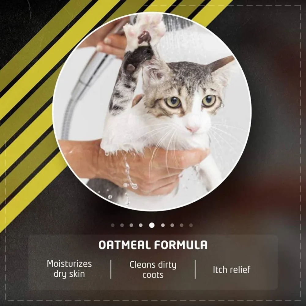 Wahl Oatmeal Shampoo for Cats - Image 3